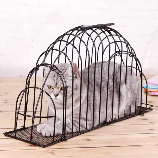 Anti Scratch Blow Dry Cat Bath Cage Bath Cage - Shop at LoveMi