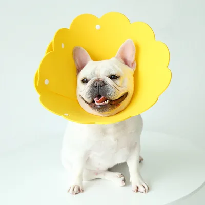 Sunflower Modeling Pet Protection Collar Anti licking Head Cover Yellow - Shop at LoveMi