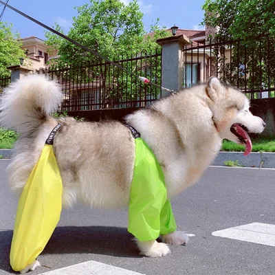 Adjustable Dog Four Legged Raincoat Yellow Green - Shop at LoveMi