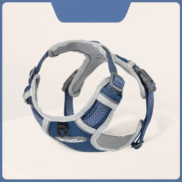 Pet Fashion Simple Chest Strap Leash Set Blue - Shop at LoveMi