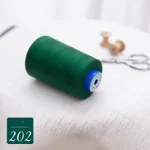 202X