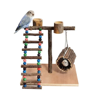 Solid Wood Parrot Station Frame Training Bird Shelf Parrot Toys Section A - Shop at LoveMi