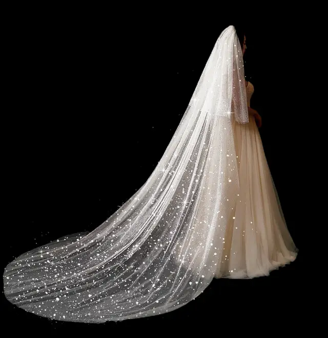 Bridal Wedding Dress Long Tail Luxury Super Fairy Wedding Veil 2 Style - Shop at LoveMi