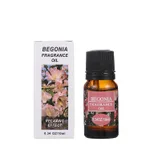 Begonia