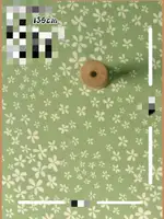 Color13