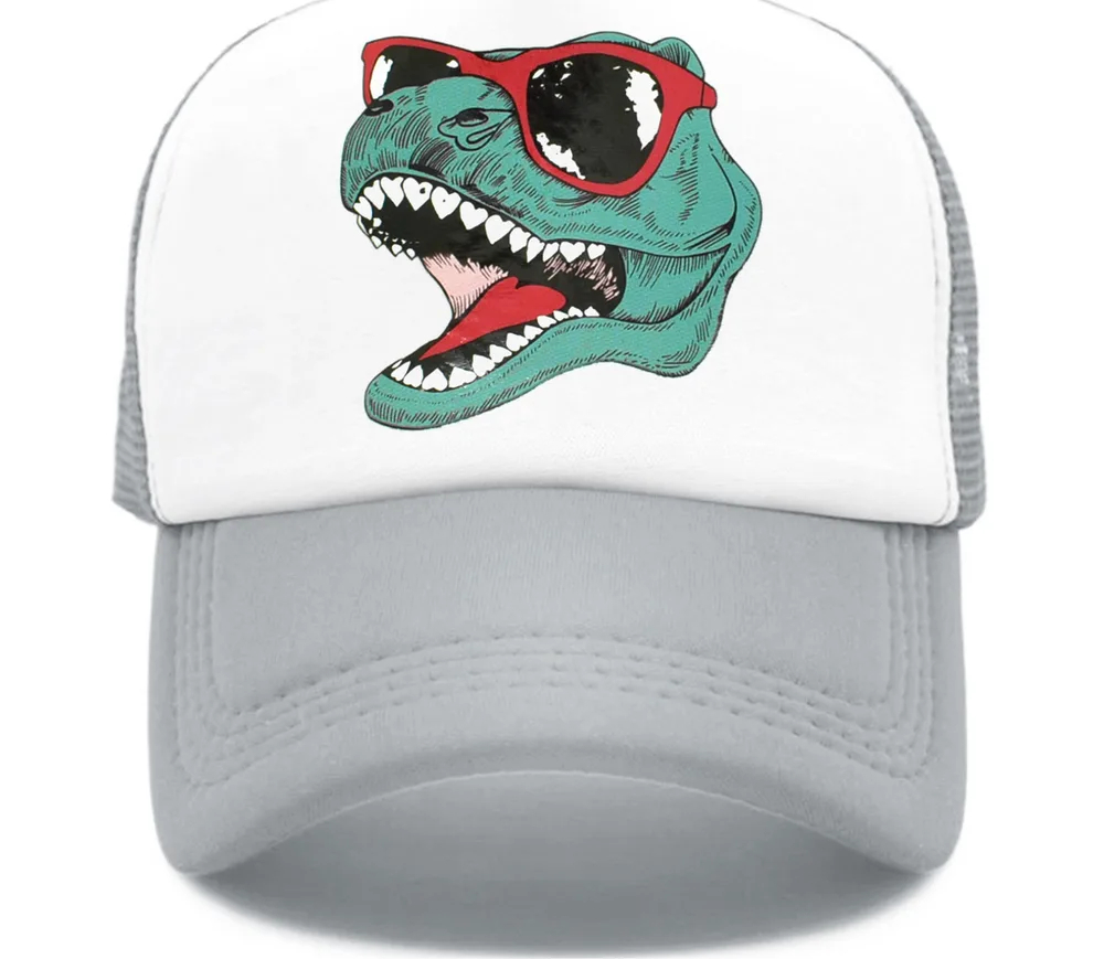 Statement Dinosaur Print Soft Top Cap Grey - Shop at LoveMi
