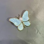 Blue Butterfly