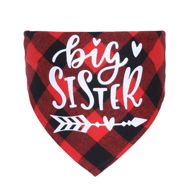 Pregnancy Notice For Pet Triangle Scarf Dog Red Grid Sister - Shop at LoveMi