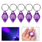 Purple Shell Violet Light