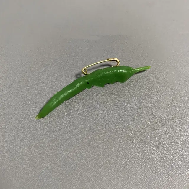 Three dimensional Food Pin Badge Is Funny Small Green Pepper Brooch - Shop at LoveMi