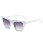 Purple Frame With White Frame