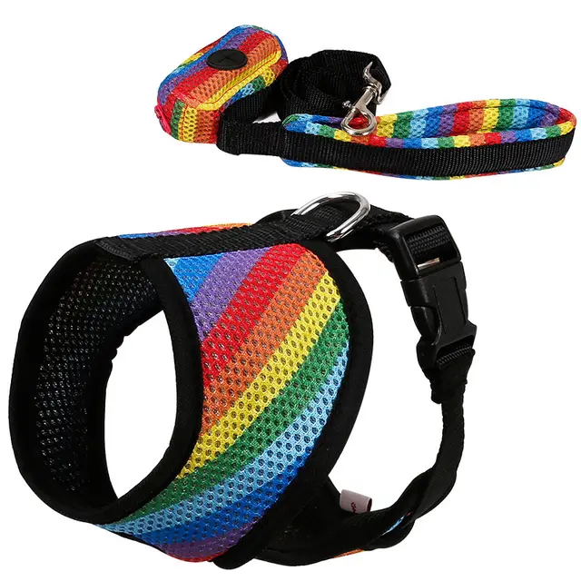 Rainbow chest strap Rainbow - Shop at LoveMi