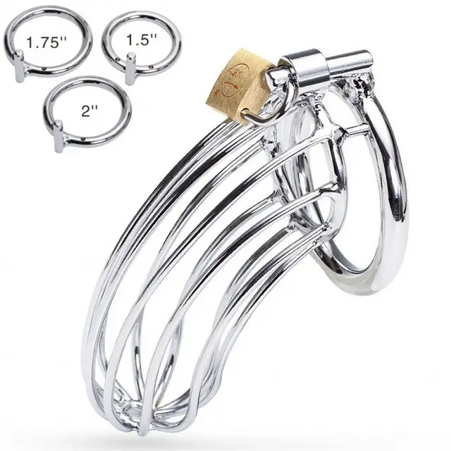 Household Black Silver Chaste Bird Cage Silver - Shop at LoveMi