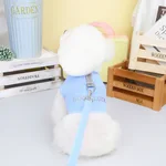 Sky Blue Plus Tow Rope