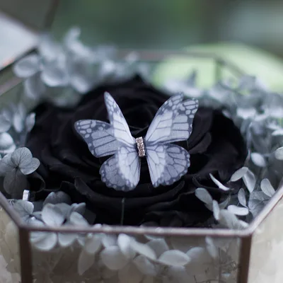 National Style Tulle Butterfly Hairpin Hem White01 - Shop at LoveMi