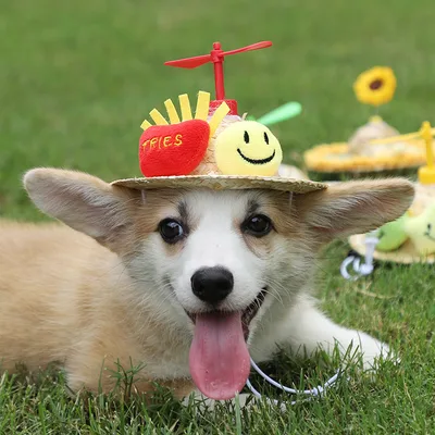 Pet Cute Hat Headwear Decorative Puppy Pet Supplies French Fries Smiley Face - Shop at LoveMi