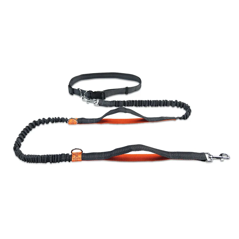 Multifunctional Running Reflective Double Telescopic Dog Leash Dog Chain Lead Rope Orange4210 - Shop at LoveMi