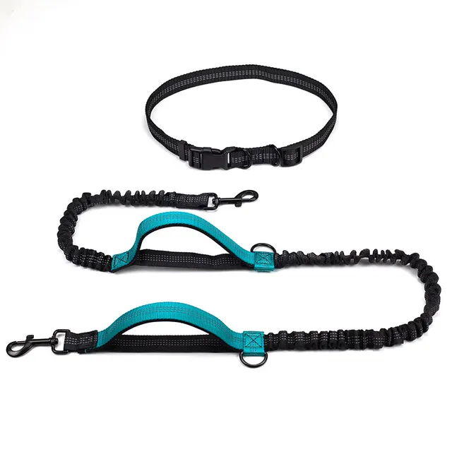 Multifunctional Running Reflective Double Telescopic Dog Leash Dog Chain Lead Rope Water Green4211 - Shop at LoveMi