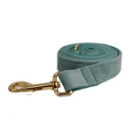 Dog Leash2