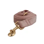 Dog Leash2
