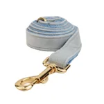 Dog Leash2