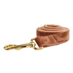 Dog Leash3