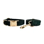 Dog Pen Dog Rope5