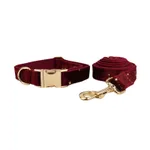 Dog Pen Dog Rope7
