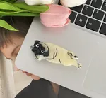 Pug Dog