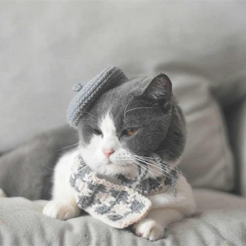 Small Hat Beret Knitting Plaid Small Scarf Dog - Grey Hat And Gray Scarf