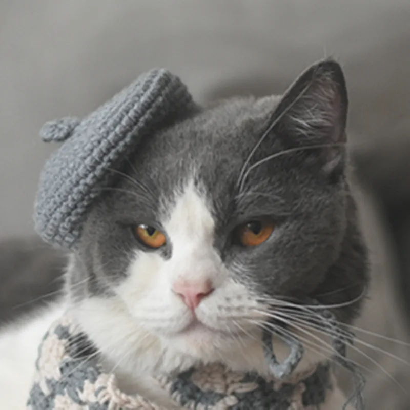 Small Hat Beret Knitting Plaid Small Scarf Dog - Grey Hat