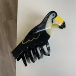 Black Toucan