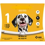 Dutch Big Dog 65Cm