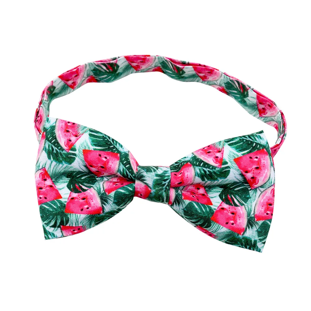 Fruit Pet Small Bow Tie Cactus Dog Cat Decorations Light Turtle Leaf Watermelon - Shop at LoveMi