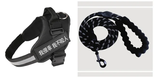 Fashion Simple Pet Leash Chest Strap Set Black - Shop at LoveMi