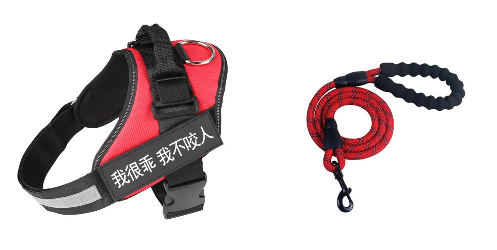 Fashion Simple Pet Leash Chest Strap Set - Red