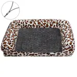 Light Leopard
