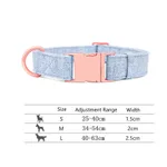 Pet Dog Collar Engraving Anti-Lost Traction Rope Supplies - Beige Blue