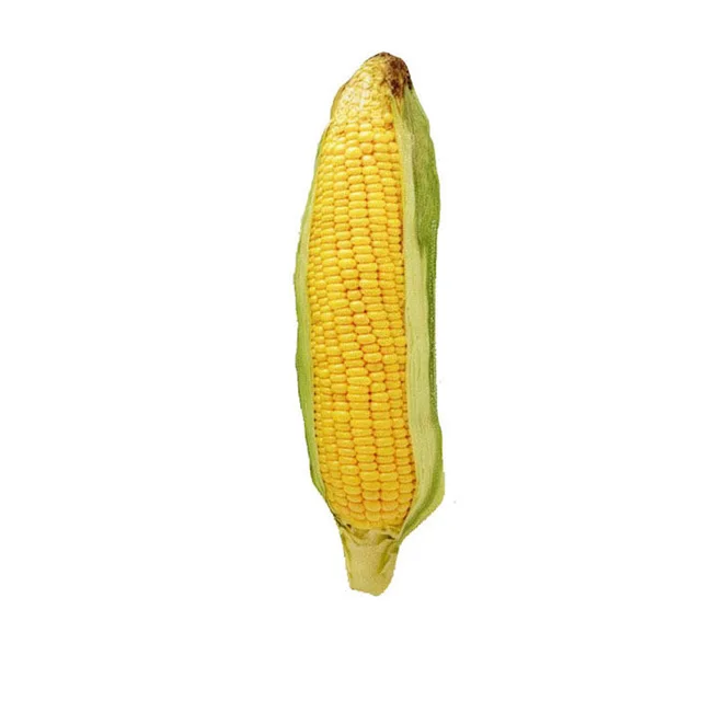 Pet Canvas Durable Toy Sound Corn - Shop at LoveMi