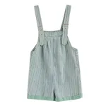 Striped Overalls-Xl