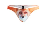 Charming Fox