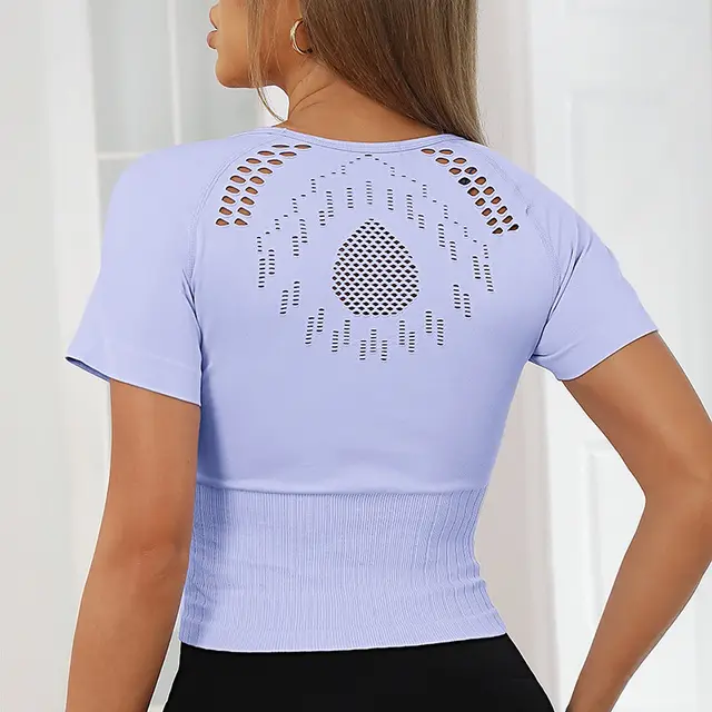 Women's Classic Hollow Yoga Quick drying T shirt Body Shaping Seamless Short Sleeve Purple - Shop at LoveMi