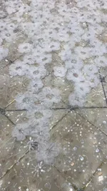 White Without Beads