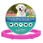Big Dog Boxed Pink