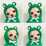Frog Style
