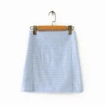 1669 Blue And White Plaid