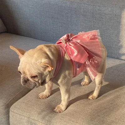 Mesh Dress Skirt Dogs And Cats Bow Pearl Pink - Shop at LoveMi