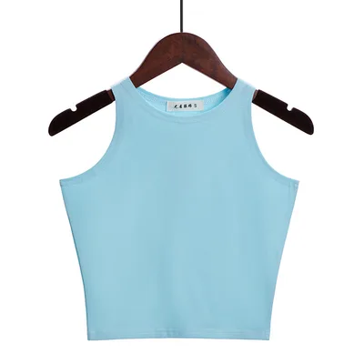 Women's Fashionable Sleeveless Slim Round Neck Bottoming Shirt Top Light Blue - Shop at LoveMi