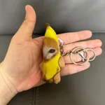 Bitter Cat With Music Device