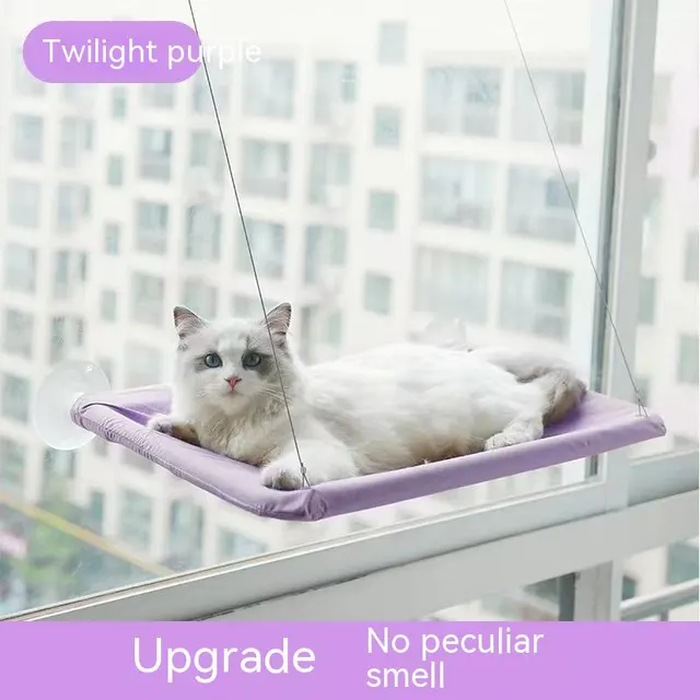 Four Seasons Swing Suction Cat Bed Purple - Shop at LoveMi